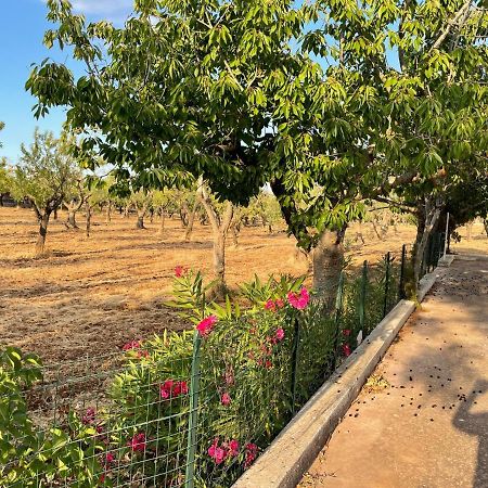 Trulli Ulivi Villa Putignano Bagian luar foto