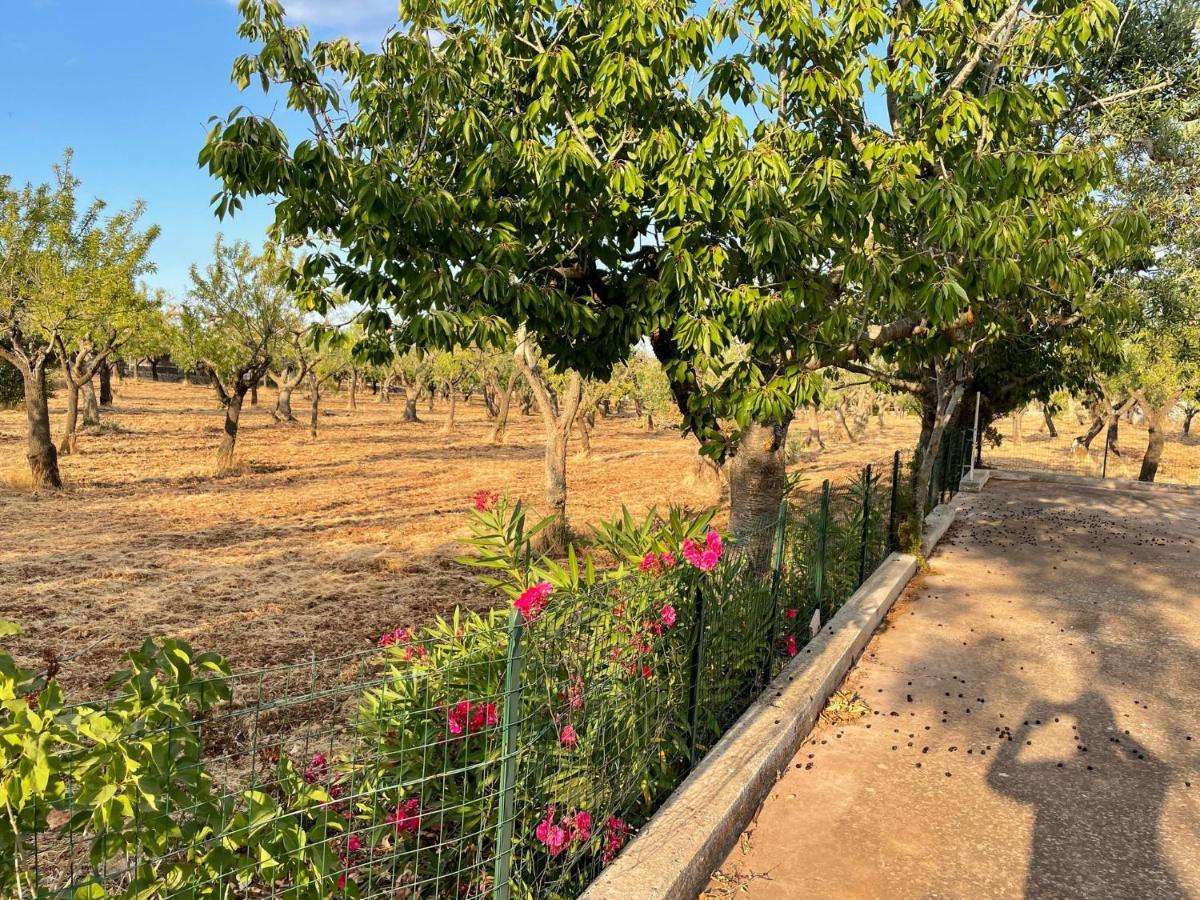 Trulli Ulivi Villa Putignano Bagian luar foto