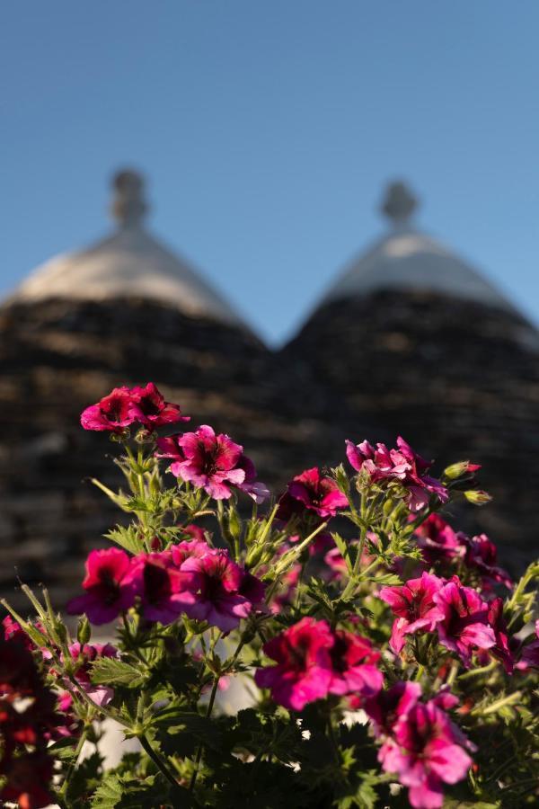 Trulli Ulivi Villa Putignano Bagian luar foto