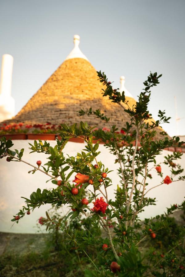 Trulli Ulivi Villa Putignano Bagian luar foto